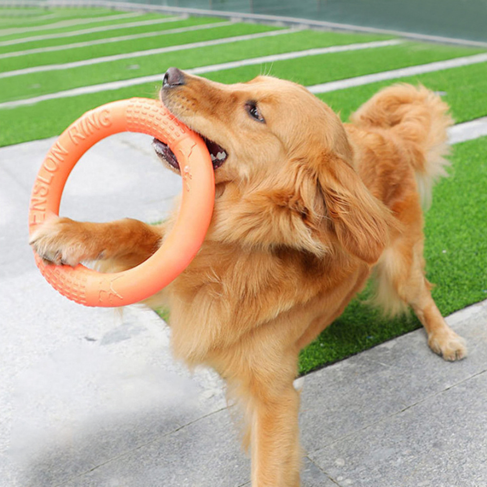 Indestructible Dog Chew Toy - 1 ، ألعاب كلاب برتقالية اللون