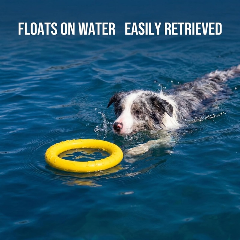 Indestructible Dog Chew Toy - ألعاب الكلاب، أقراص طائرة للحيوانات الأليفة،