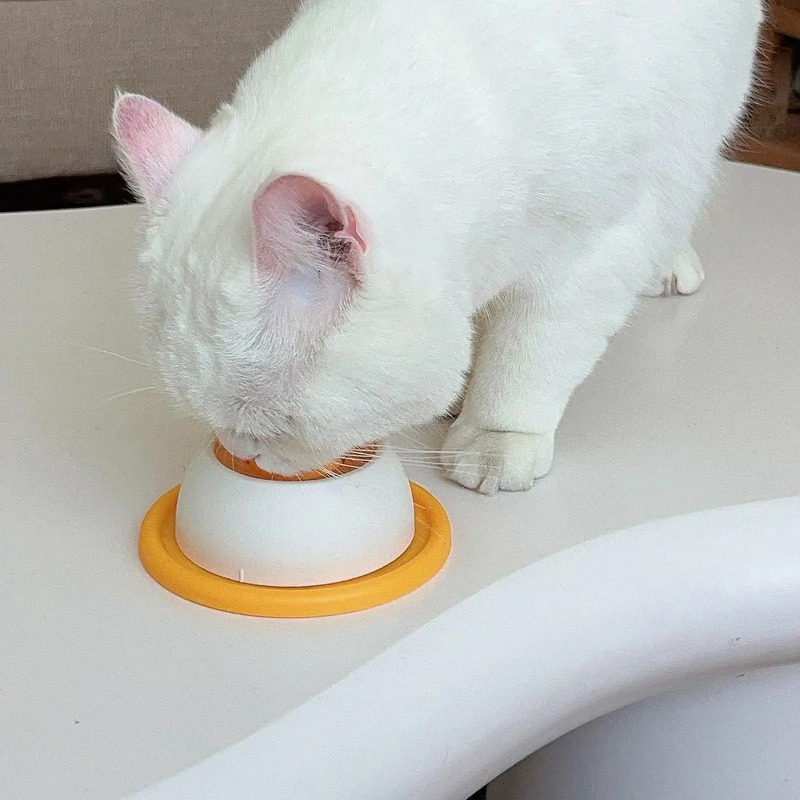 وعاء طعام بطيء للحيوانات الألي - مراجعة Dog Puzzle Feeder Toy وسعره