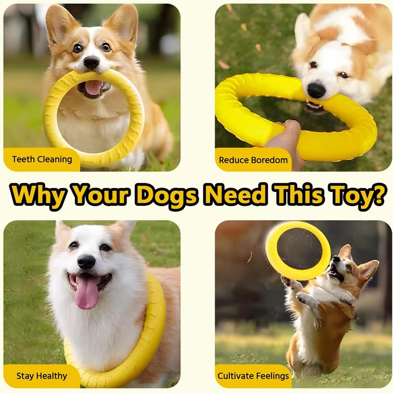 ألعاب الكلاب، أقراص طائرة للحي - مراجعة Indestructible Dog Chew Toy وسعره