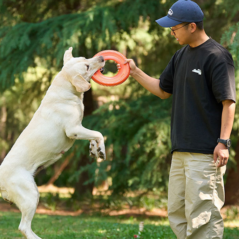 ألعاب الكلاب مضحك التفاعلية رم - مراجعة Flying Disc Dog Training Toy وسعره