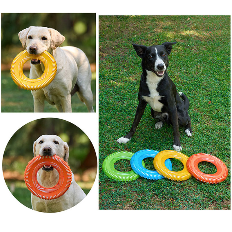 ألعاب الكلاب مضحك التفاعلية رم - مراجعة Flying Disc Dog Training Toy وسعره