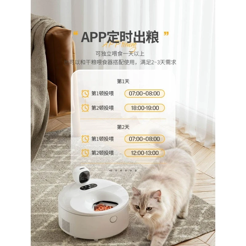 موزع طعام رطب ذكي للقطط، وعاء  - مراجعة Pet Feeders وسعره