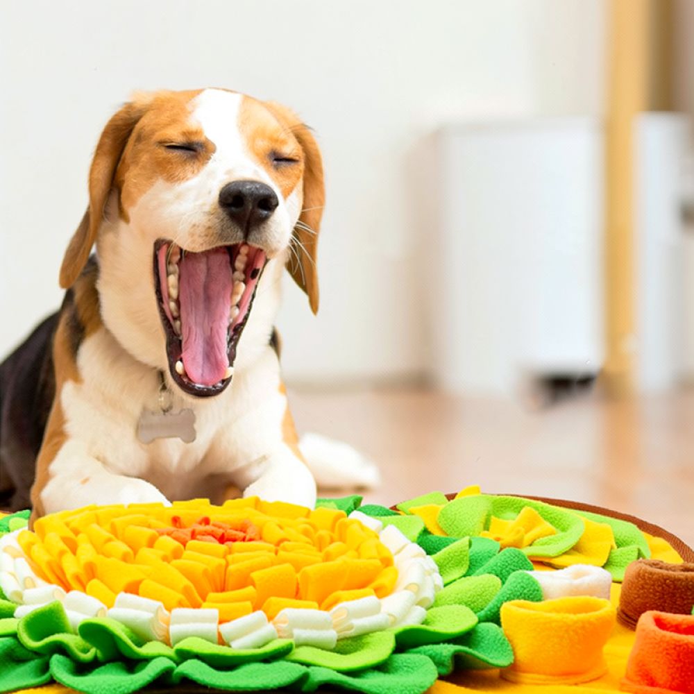 حصيرة استنشاق للكلاب بتصميم عظ - مراجعة Dog Puzzle Feeder Toy وسعره