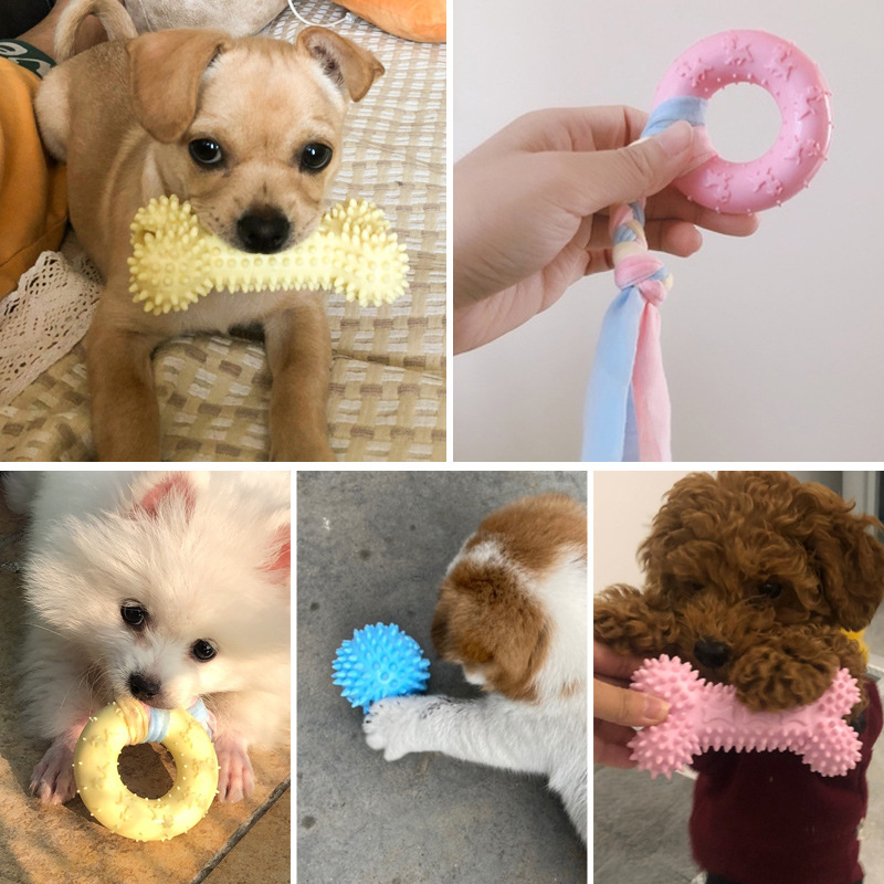كلب لعب للكلاب الصغيرة يمضغ TP - مراجعة Interactive Squeaky Plush Dog Toy وسعره
